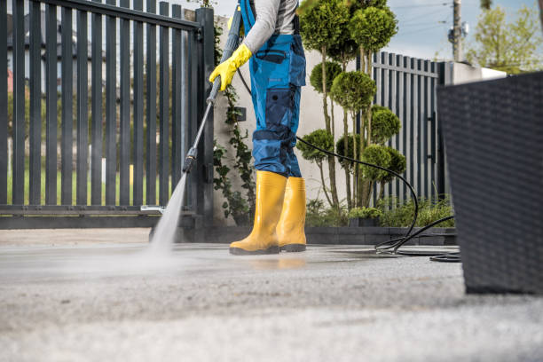 Trusted Zapata, TX Pressure Washing Experts